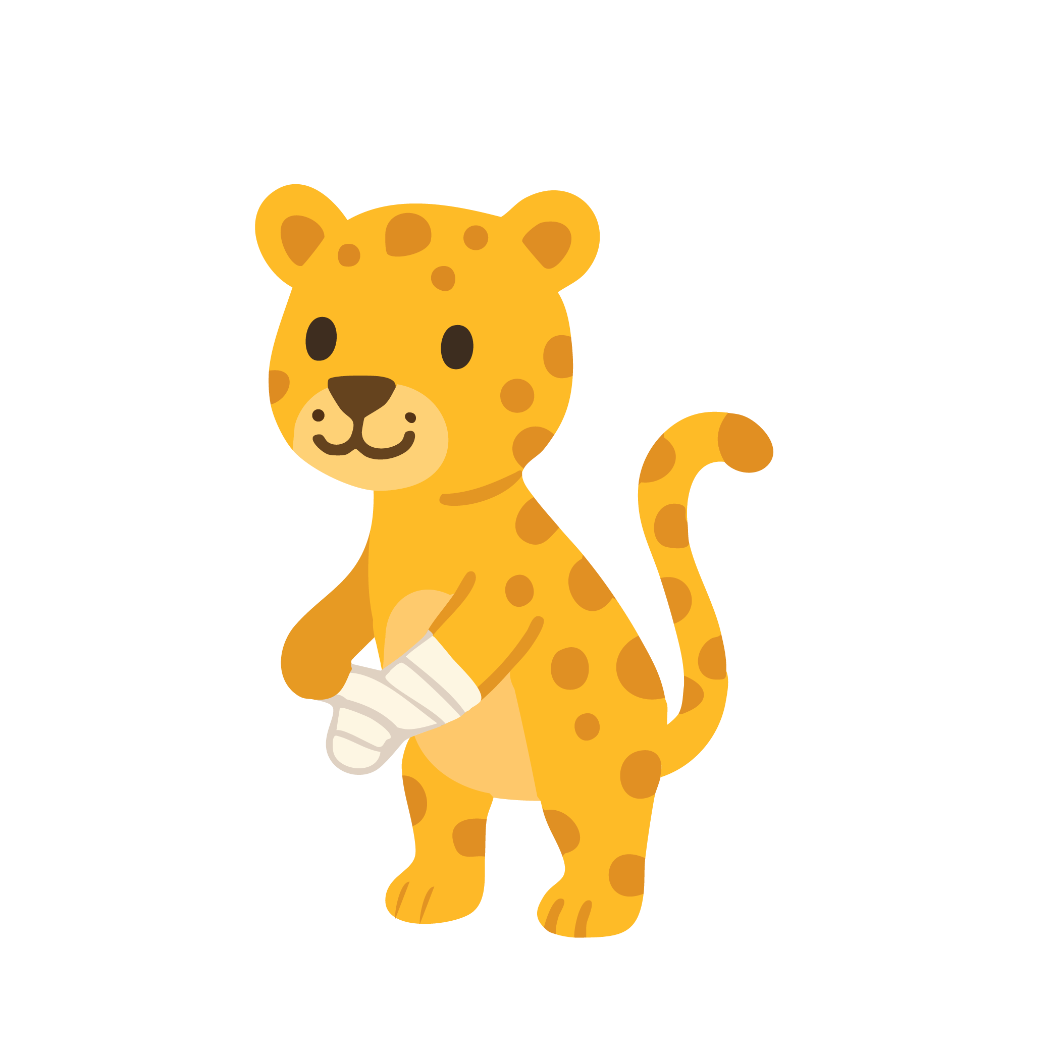 Illustration Orthopédie – PhysioMag Junior – Physiotherapie Valais